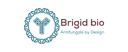 Brigid Bio